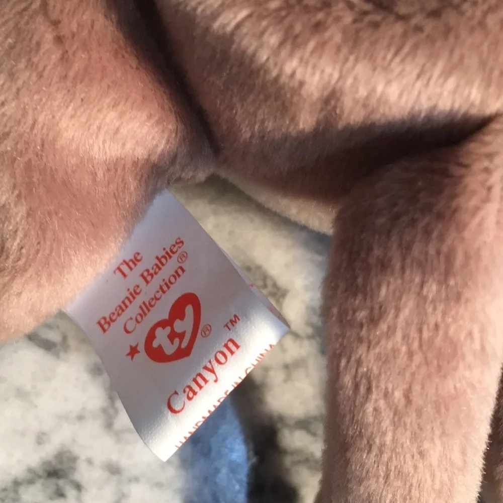 😂Ty beanie Babyies. Canyon The cat.